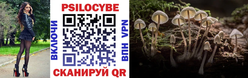 Галлюциногенные грибы мицелий  Невьянск 